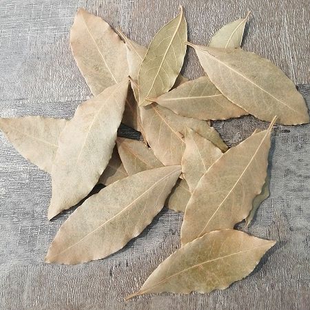 Feuille de laurier sauce, Koala Shop bijoux bois
