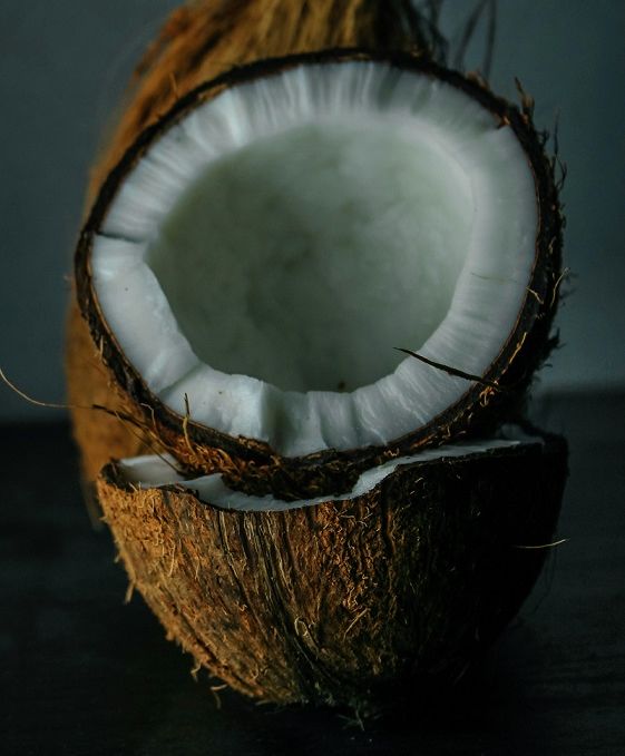 Noix de coco, Koala Shop bijoux en bois
